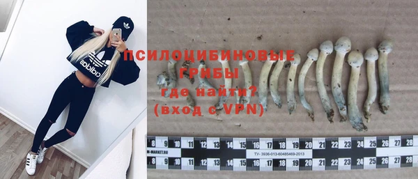 скорость mdpv Елабуга