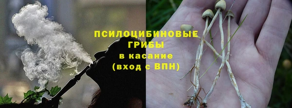 гидра Елизово