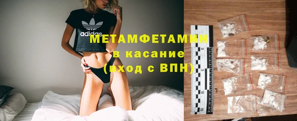 гидра Елизово