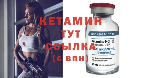 гидра Елизово