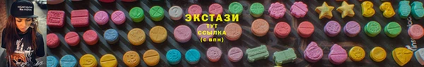 гидра Елизово