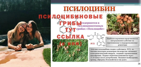 марки nbome Ельня