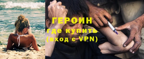 гидра Елизово